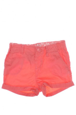 Dětské krátké kalhoty  H&M, Velikost 9-12m/ 74-80 cm, Barva Růžová, Cena  138,00 Kč