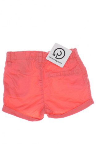 Kinder Shorts H&M, Größe 9-12m/ 74-80 cm, Farbe Rosa, Preis 5,59 €