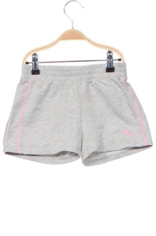 Pantaloni scurți pentru copii PUMA, Mărime 5-6y/ 116-122 cm, Culoare Gri, Preț 79,59 Lei
