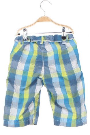 Детски къс панталон Palomino, Размер 5-6y/ 116-122 см, Цвят Многоцветен, Цена 8,40 лв.