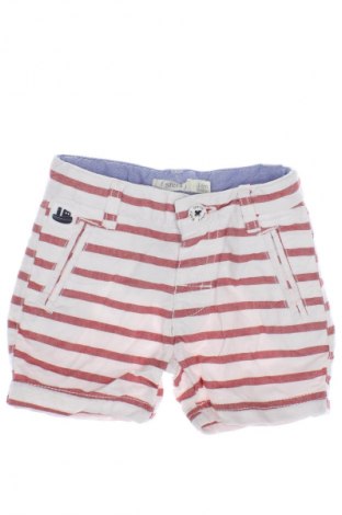 Детски къс панталон Sfera, Размер 3-6m/ 62-68 см, Цвят Многоцветен, Цена 18,03 лв.