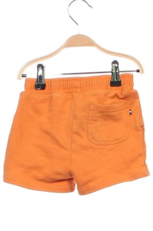 Παιδικό κοντό παντελόνι U.S. Polo Assn., Μέγεθος 12-18m/ 80-86 εκ., Χρώμα Πορτοκαλί, Τιμή 9,26 €