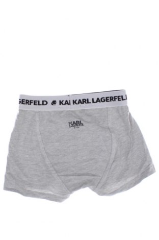 Παιδικό σύνολο Karl Lagerfeld, Μέγεθος 2-3y/ 98-104 εκ., Χρώμα Γκρί, Τιμή 25,86 €