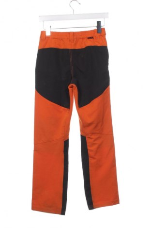 Pantaloni pentru copii Alpine Pro, Mărime 11-12y/ 152-158 cm, Culoare Multicolor, Preț 39,78 Lei