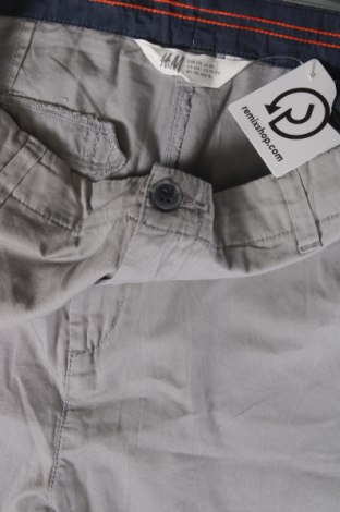Детски панталон H&M, Размер 14-15y/ 168-170 см, Цвят Сив, Цена 8,61 лв.