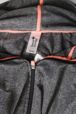 Kinder Sweatshirts Here & Now, Größe 10-11y/ 146-152 cm, Farbe Grau, Preis € 8,04