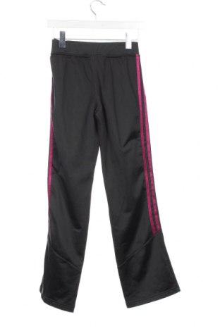 Pantaloni de trening, pentru copii Adidas, Mărime 12-13y/ 158-164 cm, Culoare Gri, Preț 37,99 Lei