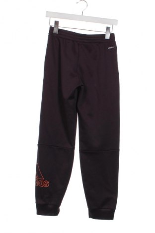 Pantaloni de trening, pentru copii Adidas, Mărime 13-14y/ 164-168 cm, Culoare Mov, Preț 62,50 Lei