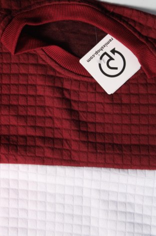 Ανδρική μπλούζα, Μέγεθος M, Χρώμα Πολύχρωμο, Τιμή 11,75 €