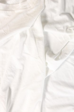 Pánské tričko , Velikost L, Barva Bílá, Cena  167,00 Kč
