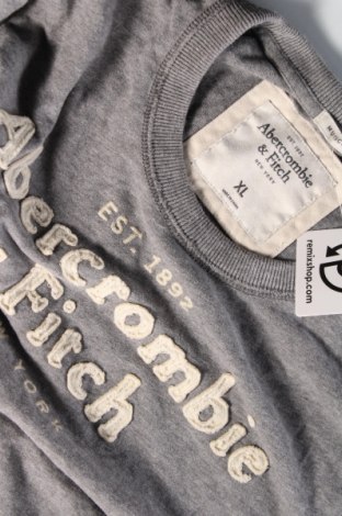 Ανδρική μπλούζα Abercrombie & Fitch, Μέγεθος XL, Χρώμα Γκρί, Τιμή 28,21 €