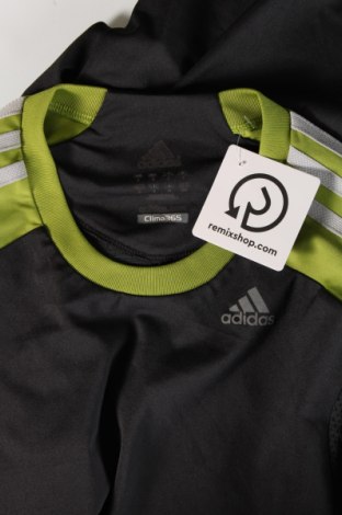 Ανδρική μπλούζα Adidas, Μέγεθος S, Χρώμα Πολύχρωμο, Τιμή 21,03 €