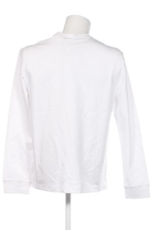 Ανδρική μπλούζα Calvin Klein, Μέγεθος XL, Χρώμα Λευκό, Τιμή 60,72 €