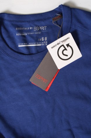 Herren Shirt Esprit, Größe M, Farbe Blau, Preis € 43,14