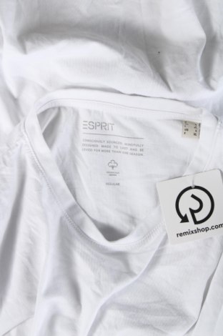 Herren Shirt Esprit, Größe L, Farbe Weiß, Preis 11,27 €