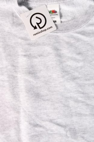 Pánske tričko  Fruit Of The Loom, Veľkosť XL, Farba Sivá, Cena  6,46 €