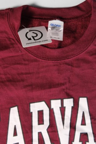 Ανδρική μπλούζα Gildan, Μέγεθος XXL, Χρώμα Κόκκινο, Τιμή 7,05 €