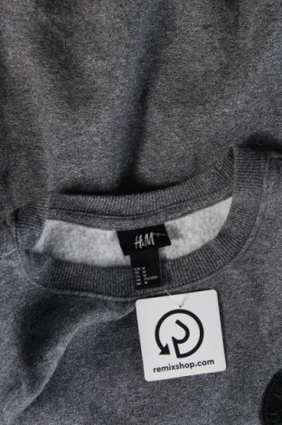 Ανδρική μπλούζα H&M, Μέγεθος M, Χρώμα Γκρί, Τιμή 6,70 €