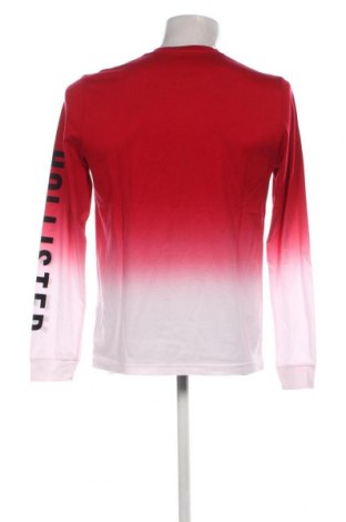 Herren Shirt Hollister, Größe M, Farbe Rot, Preis 31,96 €