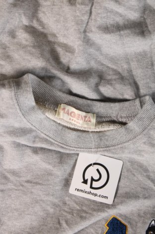 Ανδρική μπλούζα Magenta, Μέγεθος M, Χρώμα Γκρί, Τιμή 8,84 €