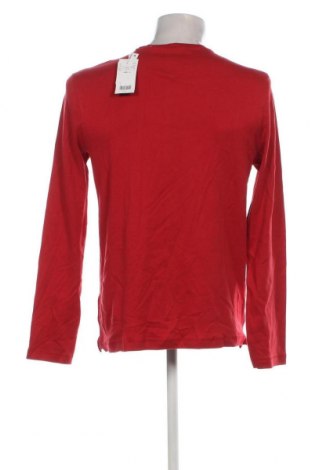 Herren Shirt Oviesse, Größe L, Farbe Rot, Preis 8,79 €