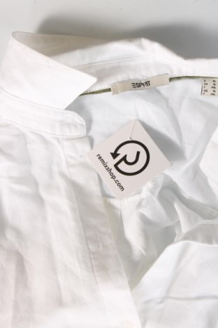 Ανδρικό πουκάμισο Esprit, Μέγεθος XL, Χρώμα Λευκό, Τιμή 10,54 €