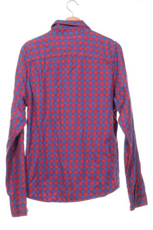 Herrenhemd Hollister, Größe L, Farbe Mehrfarbig, Preis € 10,20
