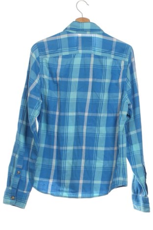 Herrenhemd Hollister, Größe M, Farbe Mehrfarbig, Preis € 10,42