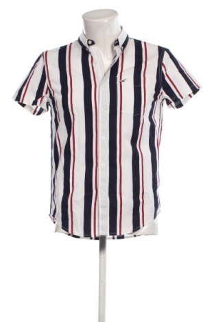 Herrenhemd Hollister, Größe S, Farbe Mehrfarbig, Preis 19,85 €