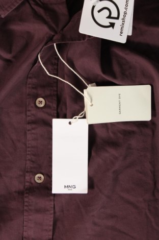 Herrenhemd Mango, Größe XL, Farbe Lila, Preis 27,78 €