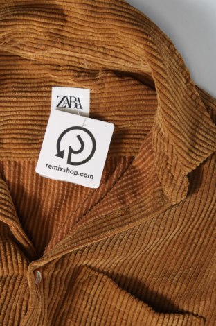 Pánská košile  Zara, Velikost S, Barva Hnědá, Cena  258,00 Kč