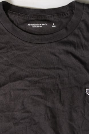 Ανδρικό t-shirt Abercrombie & Fitch, Μέγεθος L, Χρώμα Γκρί, Τιμή 15,88 €