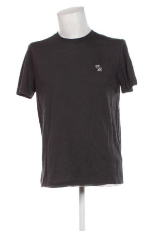 Ανδρικό t-shirt Abercrombie & Fitch, Μέγεθος L, Χρώμα Γκρί, Τιμή 15,88 €