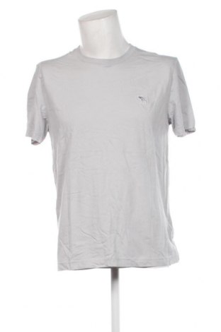 Мъжка тениска Abercrombie & Fitch, Размер L, Цвят Сив, Цена 30,80 лв.