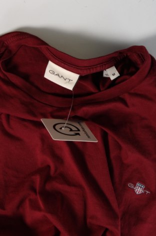 Herren T-Shirt Gant, Größe M, Farbe Rot, Preis € 37,11