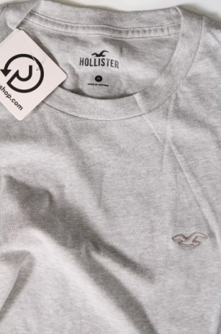 Ανδρικό t-shirt Hollister, Μέγεθος M, Χρώμα Γκρί, Τιμή 9,59 €
