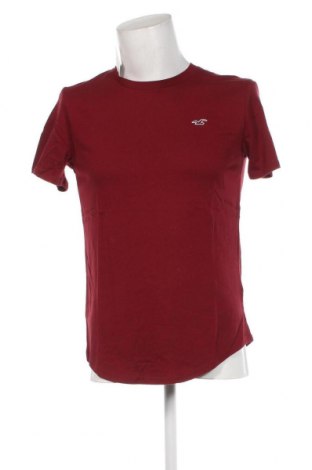 Herren T-Shirt Hollister, Größe M, Farbe Rot, Preis € 15,98