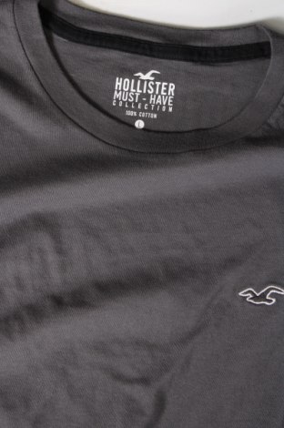 Ανδρικό t-shirt Hollister, Μέγεθος L, Χρώμα Γκρί, Τιμή 15,98 €