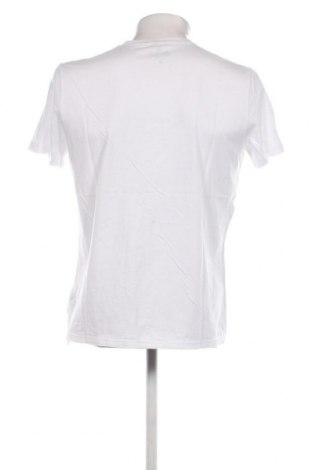 Herren T-Shirt Hollister, Größe L, Farbe Weiß, Preis 11,99 €