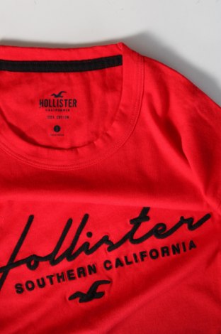 Herren T-Shirt Hollister, Größe S, Farbe Rot, Preis € 15,98