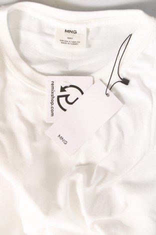 Herren T-Shirt Mango, Größe S, Farbe Schwarz, Preis € 10,31