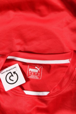 Ανδρικό t-shirt PUMA, Μέγεθος L, Χρώμα Κόκκινο, Τιμή 15,87 €