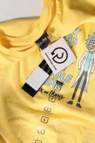 Ανδρικό t-shirt Rick and Morty, Μέγεθος L, Χρώμα Κίτρινο, Τιμή 15,98 €