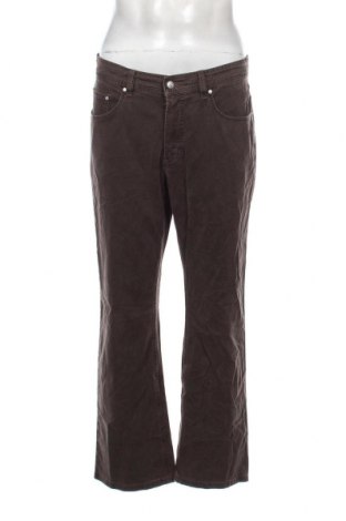 Herren Jeans, Größe L, Farbe Braun, Preis 11,10 €