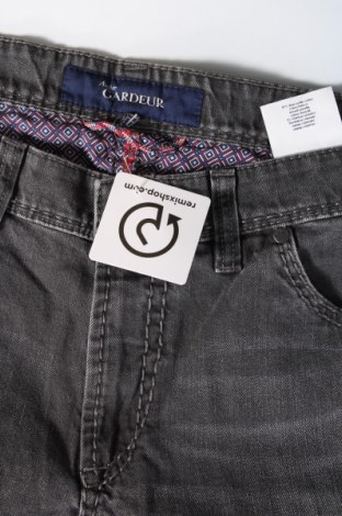Herren Jeans Atelier GARDEUR, Größe XL, Farbe Grau, Preis 20,88 €