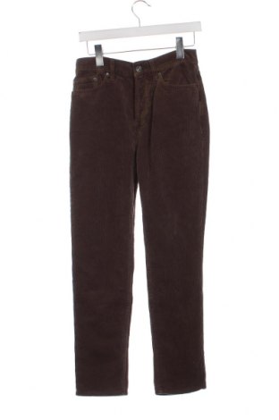 Pantaloni raiați de bărbați BDG, Mărime S, Culoare Maro, Preț 64,85 Lei
