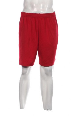 Ανδρικό κοντό παντελόνι, Μέγεθος L, Χρώμα Κόκκινο, Τιμή 11,75 €