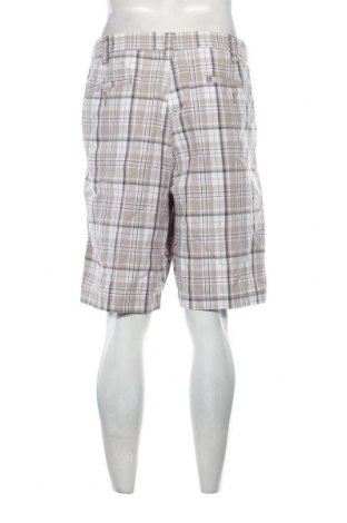 Ανδρικό κοντό παντελόνι, Μέγεθος XL, Χρώμα Πολύχρωμο, Τιμή 13,91 €