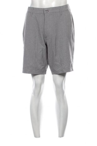 Herren Shorts, Größe L, Farbe Grau, Preis € 16,53