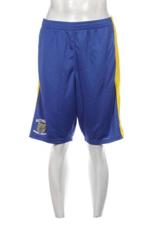 Ανδρικό κοντό παντελόνι, Μέγεθος XL, Χρώμα Πολύχρωμο, Τιμή 24,74 €